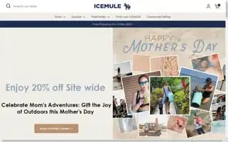 Icemulecoolers.com Screenshot 2024-05-04 15:31:57