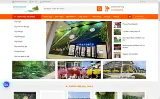 Cayhoagia.com Screenshot 2024-06-26 10:46:26