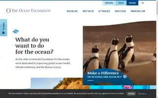 Oceanfdn.org Screenshot 2024-07-04 18:08:55