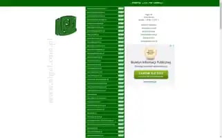 Aigel.com.pl Screenshot 2024-06-26 23:12:11