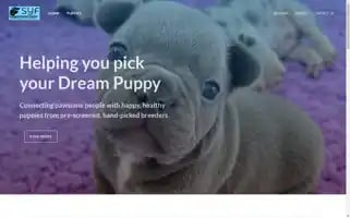 Sniffingyoufrenchies.com Screenshot 2024-05-26 23:48:03