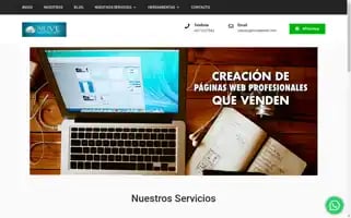 Nuveenred.com Screenshot 2024-06-16 12:32:50