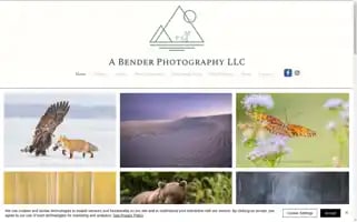 Abenderphotography.com Screenshot 2024-07-04 14:33:48