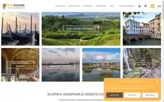 Beescover.com Screenshot 2024-06-11 06:36:51