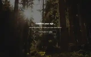 Forest-spirits.com Screenshot 2024-06-16 13:01:52