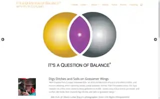 Itsaquestionofbalance.com Screenshot 2024-06-30 14:22:04