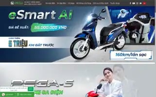 Pega.com.vn Screenshot 2024-06-25 14:24:31