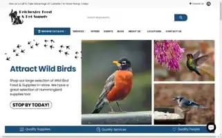 Delchesterfeed.com Screenshot 2024-05-09 09:12:29