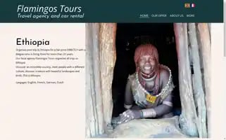 Flamingostoursethiopia.com Screenshot 2024-04-17 12:58:13