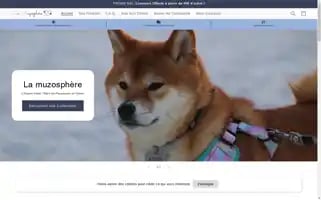 Lamuzosphere.com Screenshot 2024-05-02 07:57:42