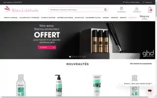 Bleulibellule.com Screenshot 2024-06-16 02:47:56