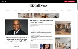 Necalinews.com Screenshot 2024-06-13 11:29:58