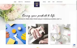 Sanjaychemunita.com Screenshot 2024-05-28 22:58:54