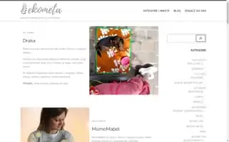 Ekometa.pl Screenshot 2024-06-18 04:34:53