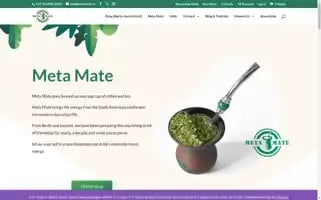 Metamate.cc Screenshot 2024-06-11 07:19:26