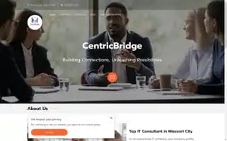 Centricbridge.com Screenshot 2024-06-26 08:07:54