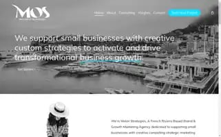 Moloristrategies.com Screenshot 2024-05-28 16:01:59