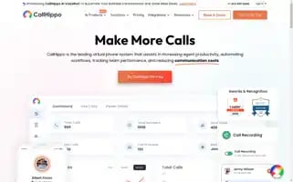 Callhippo.com Screenshot 2024-06-14 19:34:34