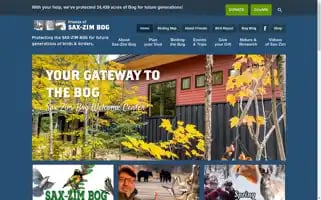 Saxzim.org Screenshot 2024-06-11 23:37:43