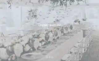 Lindseybaer.com Screenshot 2024-07-03 09:13:12