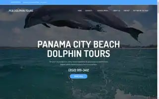 Panamacitybeachdolphintours.net Screenshot 2024-04-17 10:24:47