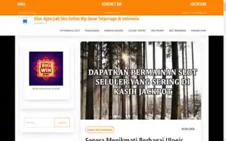 Penny4nasa.org Screenshot 2024-05-06 01:47:45