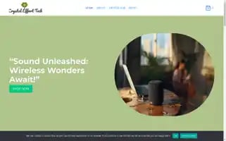 Crystalefforttech.com Screenshot 2024-05-26 23:39:00