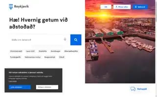 Reykjavik.is Screenshot 2024-07-04 00:58:25