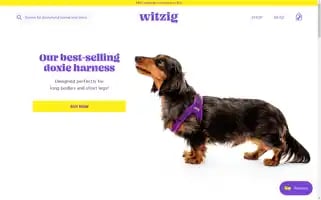 Witzig.com Screenshot 2024-05-05 23:33:46