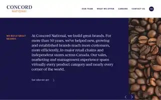 Concordnational.com Screenshot 2024-07-07 23:25:54