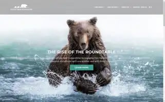 Grizzlybearfoundation.com Screenshot 2024-05-05 00:29:53