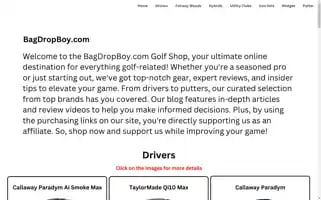 Bagdropboy.com Screenshot 2024-05-15 13:23:46