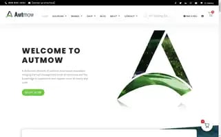 Autmow.com Screenshot 2024-06-12 08:14:28