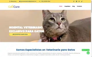 Catcare.mx Screenshot 2024-05-23 04:17:41