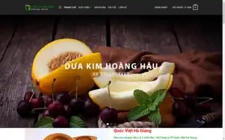 Quocviethagiang.com Screenshot 2024-05-29 06:02:24