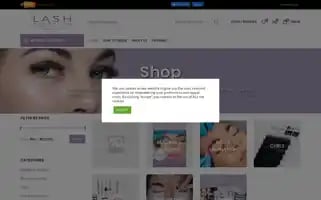 Lashesmauritius.com Screenshot 2024-06-28 19:28:38