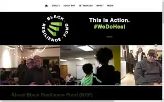 Blackresiliencefund.com Screenshot 2024-07-01 05:19:43