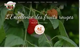 Panachfruits.fr Screenshot 2024-06-16 21:50:43