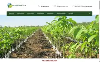 Boylufidan.com Screenshot 2024-05-19 04:29:45