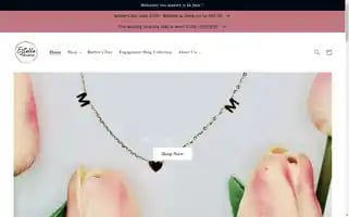 Estellefine.com Screenshot 2024-04-27 15:12:29
