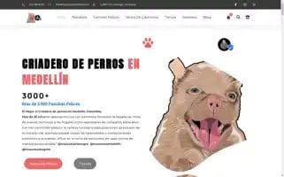Mascotasmedellin.com Screenshot 2024-05-19 09:45:59
