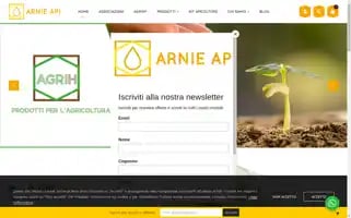 Arnieapi.com Screenshot 2024-07-09 10:53:14