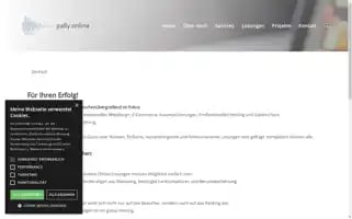 Pally.ch Screenshot 2024-06-26 10:29:37