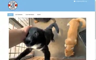 Savedme.org Screenshot 2024-07-01 11:32:51