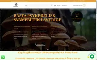 Psykedelisksvampbutik.com Screenshot 2024-05-28 09:56:26