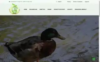 Associazioneambiente.it Screenshot 2024-05-22 09:14:52