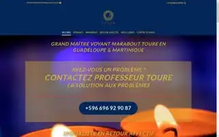 Professor-toure.com Screenshot 2024-04-24 01:14:14