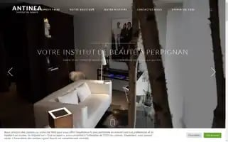 Institut-antinea.fr Screenshot 2024-05-23 19:28:46