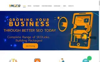 Pakseo.net Screenshot 2024-06-17 03:09:07