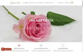 Hoatuoicuchi.net Screenshot 2024-05-29 00:47:27